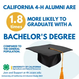 Gradulation